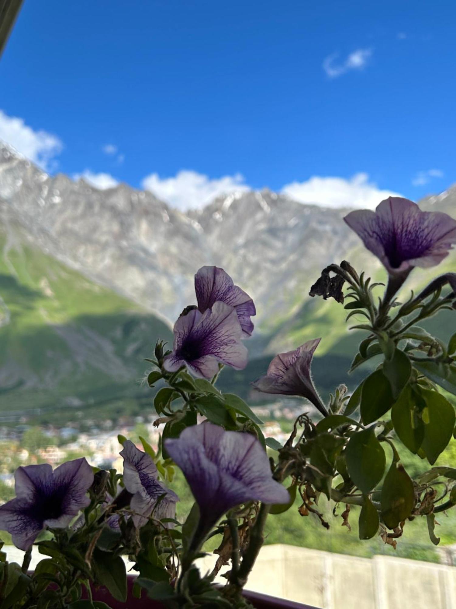 Hill House Hotell Kazbegi Eksteriør bilde